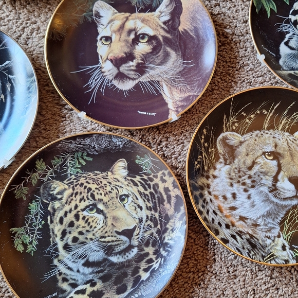 Vintage Set of 8 Nature's Majestic Cats Plates The Hamilton Collection - Picture 10 of 11